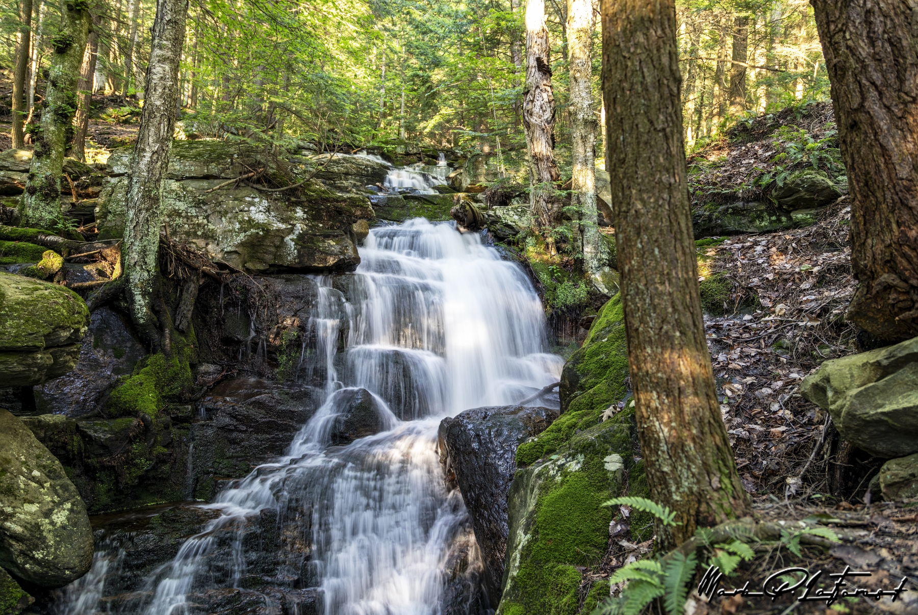 Abbey Pond Trail Falls, Middlebury, Vermont